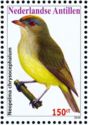 Saffron-crested Tyrant-Manakin (Neopelma chrysocephalum)